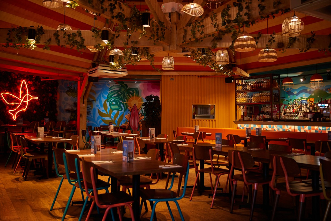 SF LAS IGUANAS INTERIOR 